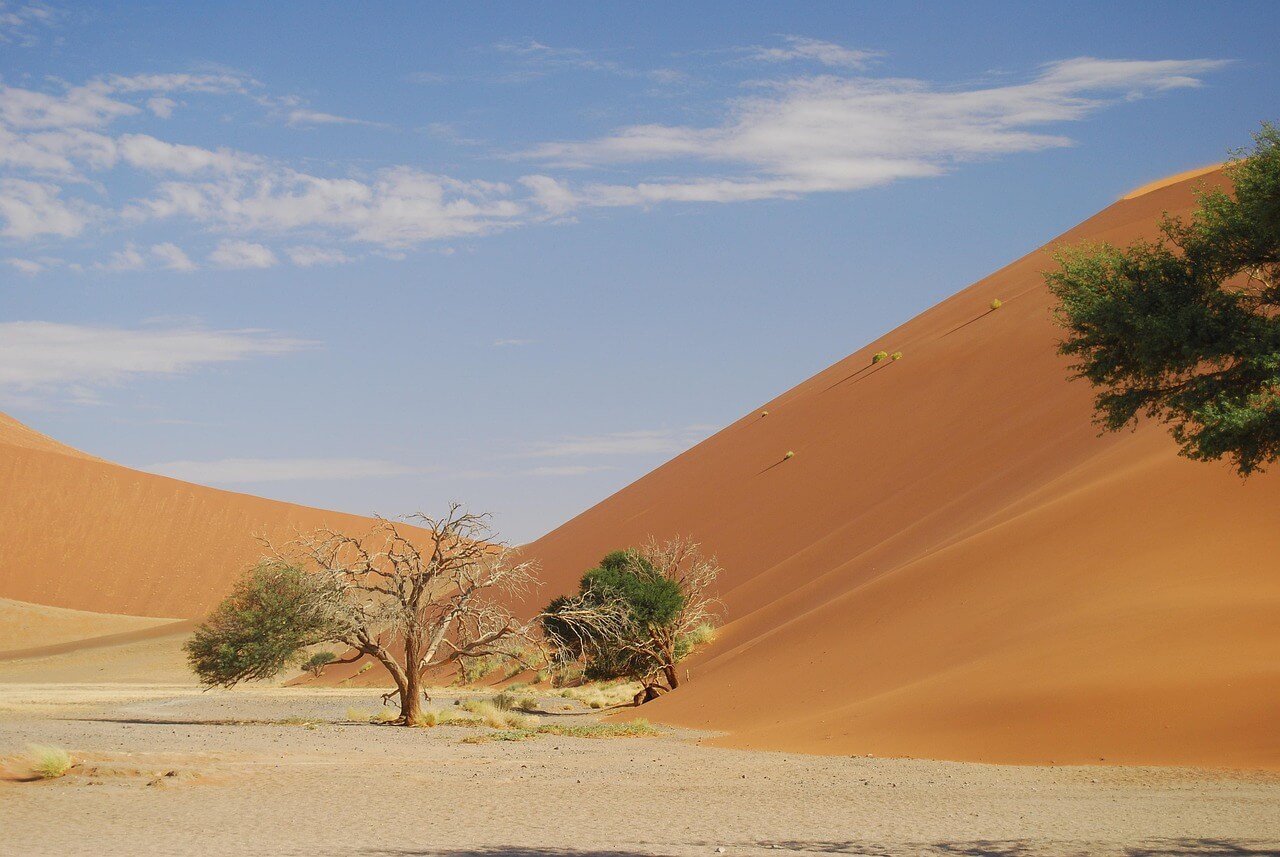Towering Red Dunes